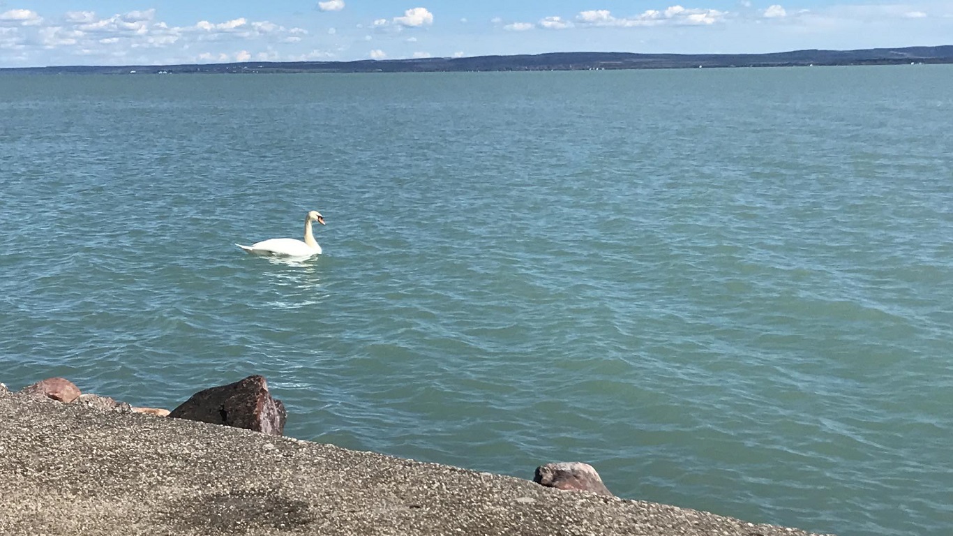 Templomdombi Apartman – Balaton északi partja